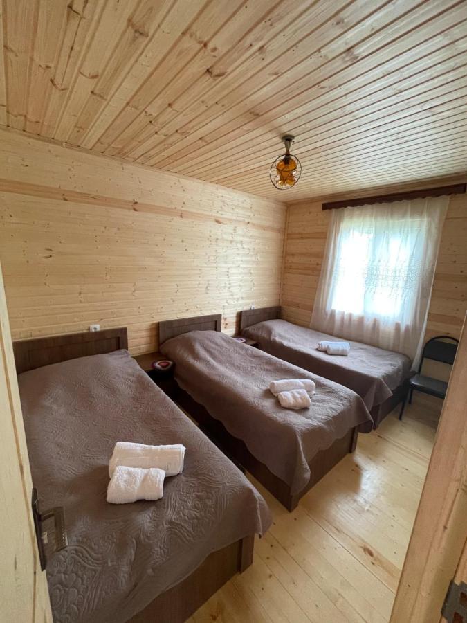 منزل الضيف كازباجي  في Warm House المظهر الخارجي الصورة